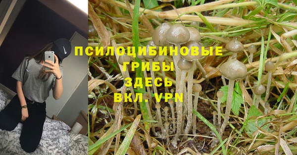 спайс Лабытнанги