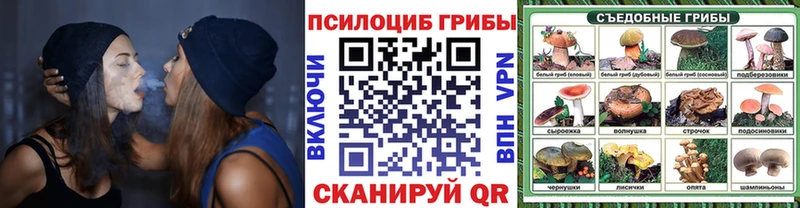 где можно купить   Чебаркуль  Галлюциногенные грибы прущие грибы 