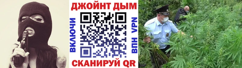 где можно купить   Чебаркуль  Шишки марихуана сатива 