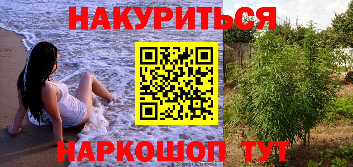 Марихуана планчик  Канабис планчик  Бошки марихуана семена  Чебаркуль  Канабис Ganja  Вход с VPN 